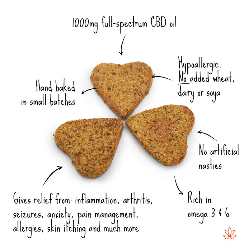 Gizzls Fish CBD Cat Treats - Picture 2